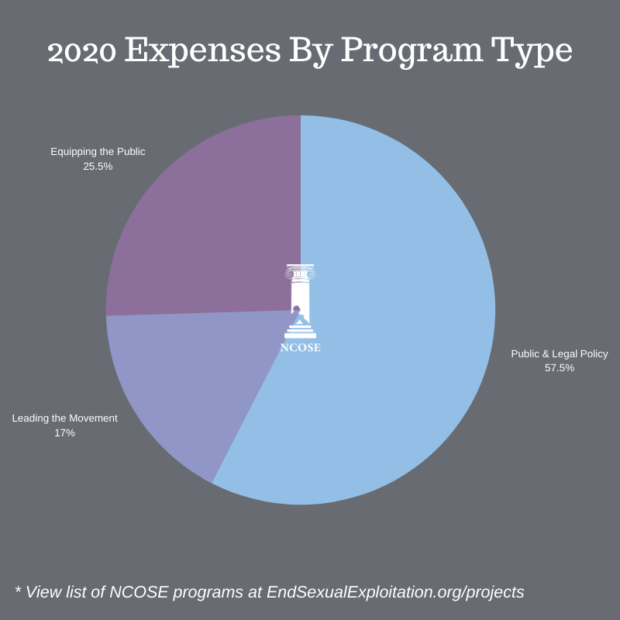 2020 Expenses by Program Type