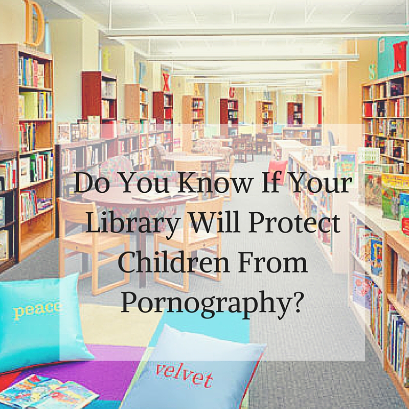 Proof our Libraries have a Porn Problem