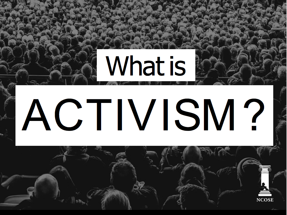 activism how-to