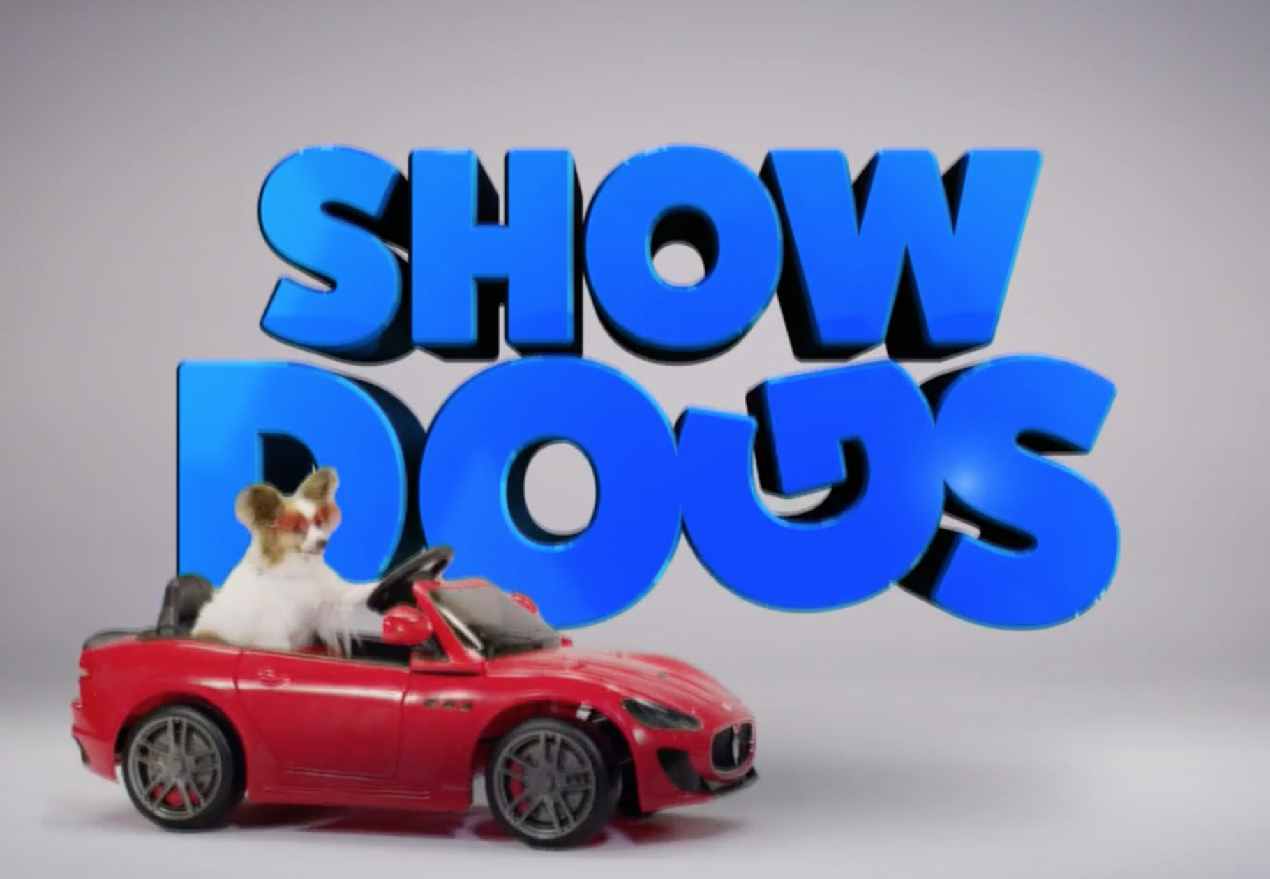 show dogs movie