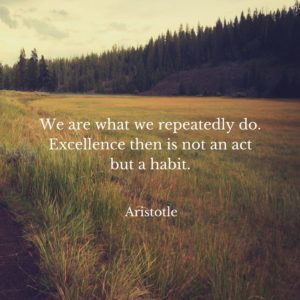 we are what we repeatedly do. excellence then is not an act but a habit