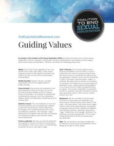 CESE guiding values cover image